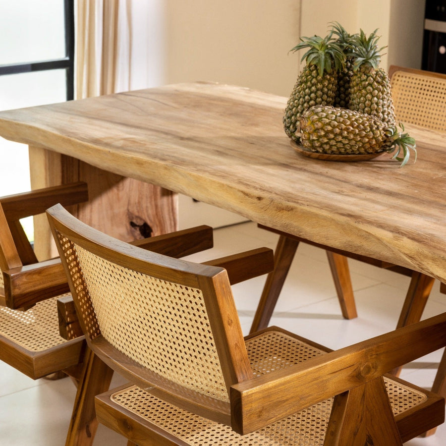 Rattan Esszimmerstühle mit Armlehne am Holztisch