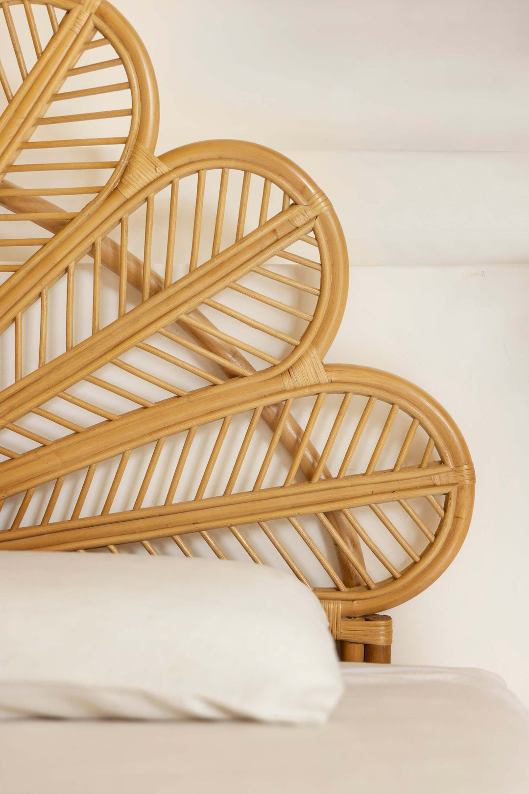 Nahaufnahme vom Raja Kofteil